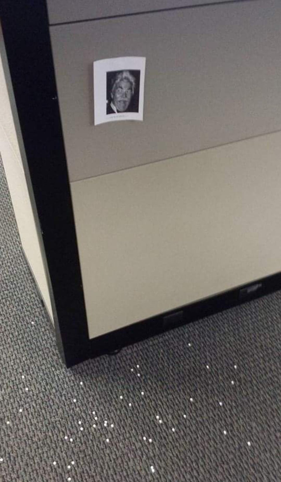 Someone spilled hole-punch confetti by my cubicle. I tacked up a pic of Rip Taylor.