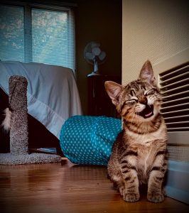 [OC] my mom got her first pet at the age of 70.
