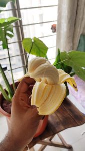 Found a double barrel banana today