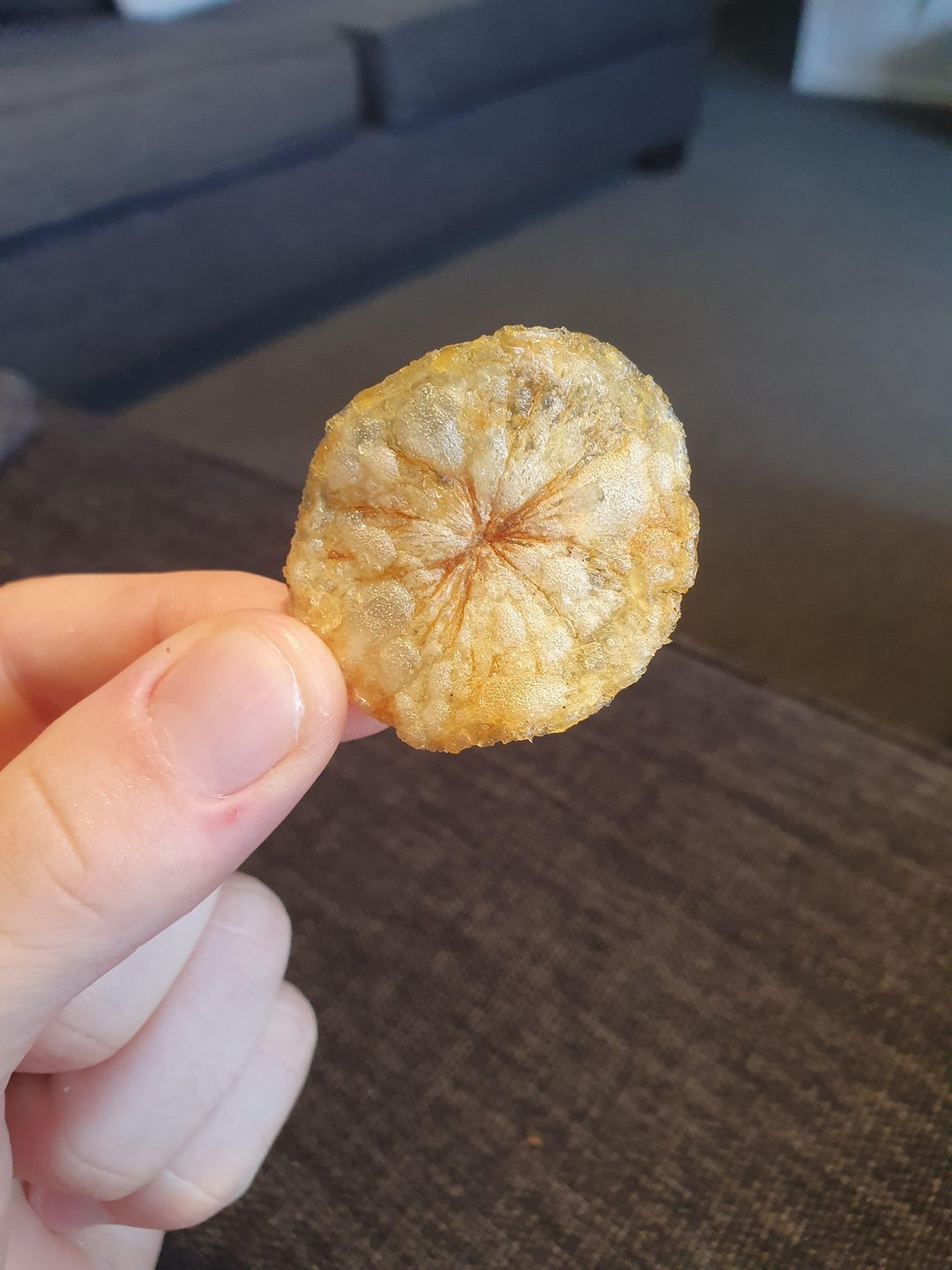 This chip looks like a butthole