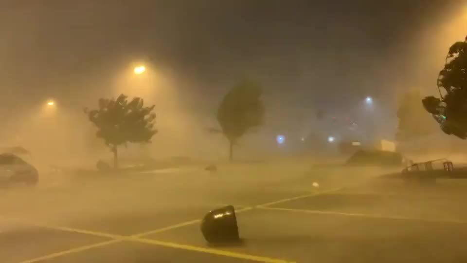 Marty, if my calculations are correct, when this baby hits 88 miles per hour...you're going to see some serious shit