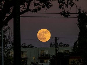 Super moon rising over Foothill Blvd. in Oakland [OC]