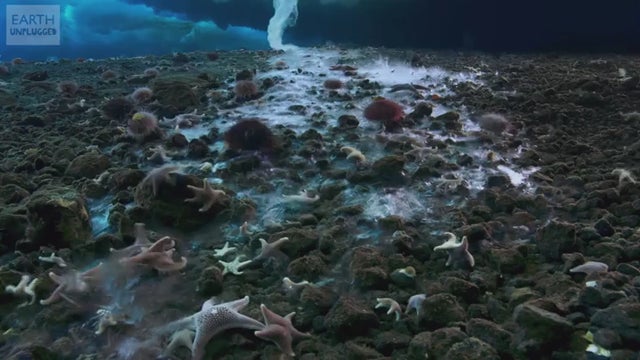 Formation of a brinicle, which freezes everything it touches.