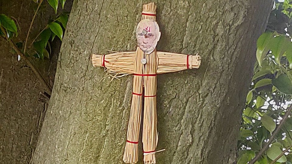 Japanese man arrested over Putin straw doll nailed to shrine tree