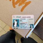 This fake driver's license for a literal bird came with my wallet.