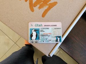 This fake driver's license for a literal bird came with my wallet.