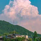 An oversized summer has appeared