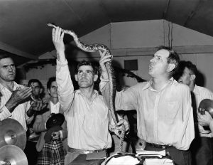 TIL about snake handling in Christianity. Members of some Christian sects in the Southern United States are regularly bitten by venomous snakes while participating in "snake handling" rituals. This ritual is inspired by a literal interpretation of the Bible verses Mark 16:17–18.