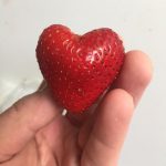 This heart shaped strawberry I ate today. Probably should have sold it on eBay tho.