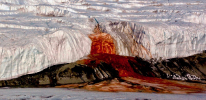 The Blood Falls in Antarctic. The true origin of the Blood Falls’s deep red coloring is due to oxidized iron in brine saltwater, the same process that gives iron a dark red color when it rusts. When the iron bearing saltwater comes into contact with oxygen the iron oxidizes and takes on a red color.