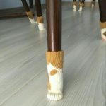 So yeah... Have these now.