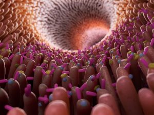When lungs are full of fluid, blood oxygen levels could be elevated via rectal administration of perfluorocarbons