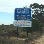It’s an Aussie rite of passage to be force fed excess fruit by your parents close to the SA border