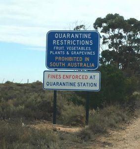 It’s an Aussie rite of passage to be force fed excess fruit by your parents close to the SA border