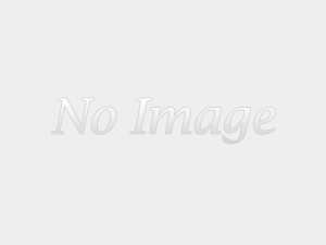 TIL that strongest insect in the world is Horned Dung Beetle that can lift over 1100 times its body weight which equals to an average person lifting 2 fully loaded 18 wheel trucks above their heads.