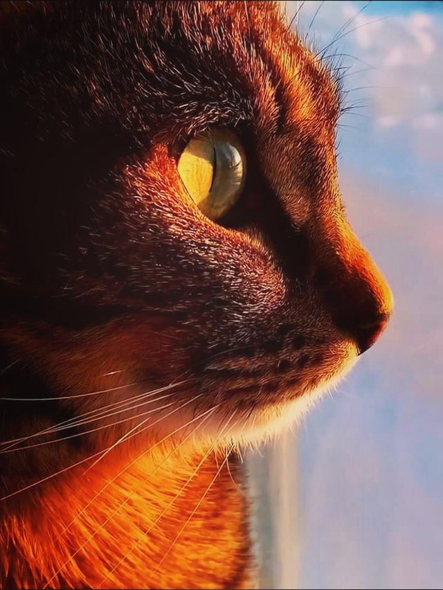 (OC) watching the sunset