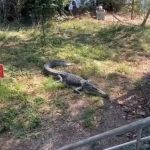 And that’s how it’s done.