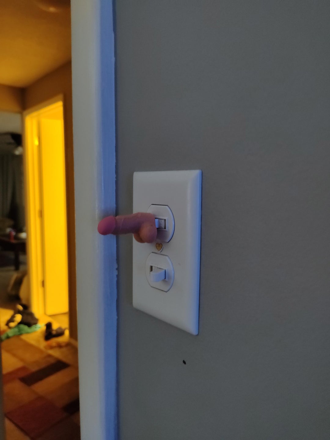 Came home and my wife told me to turn the light on. She's still sitting here giggling.