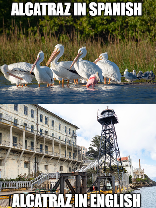 Lived near the thing 30 years, still never been