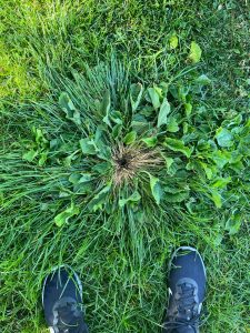 Today, while walking my dog, I came across earth’s butthole.