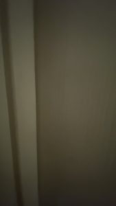 My girlfriend is the jumpiest person in the world. Here’s a highlight reel proving it.