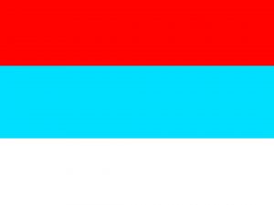Papa smurf flag