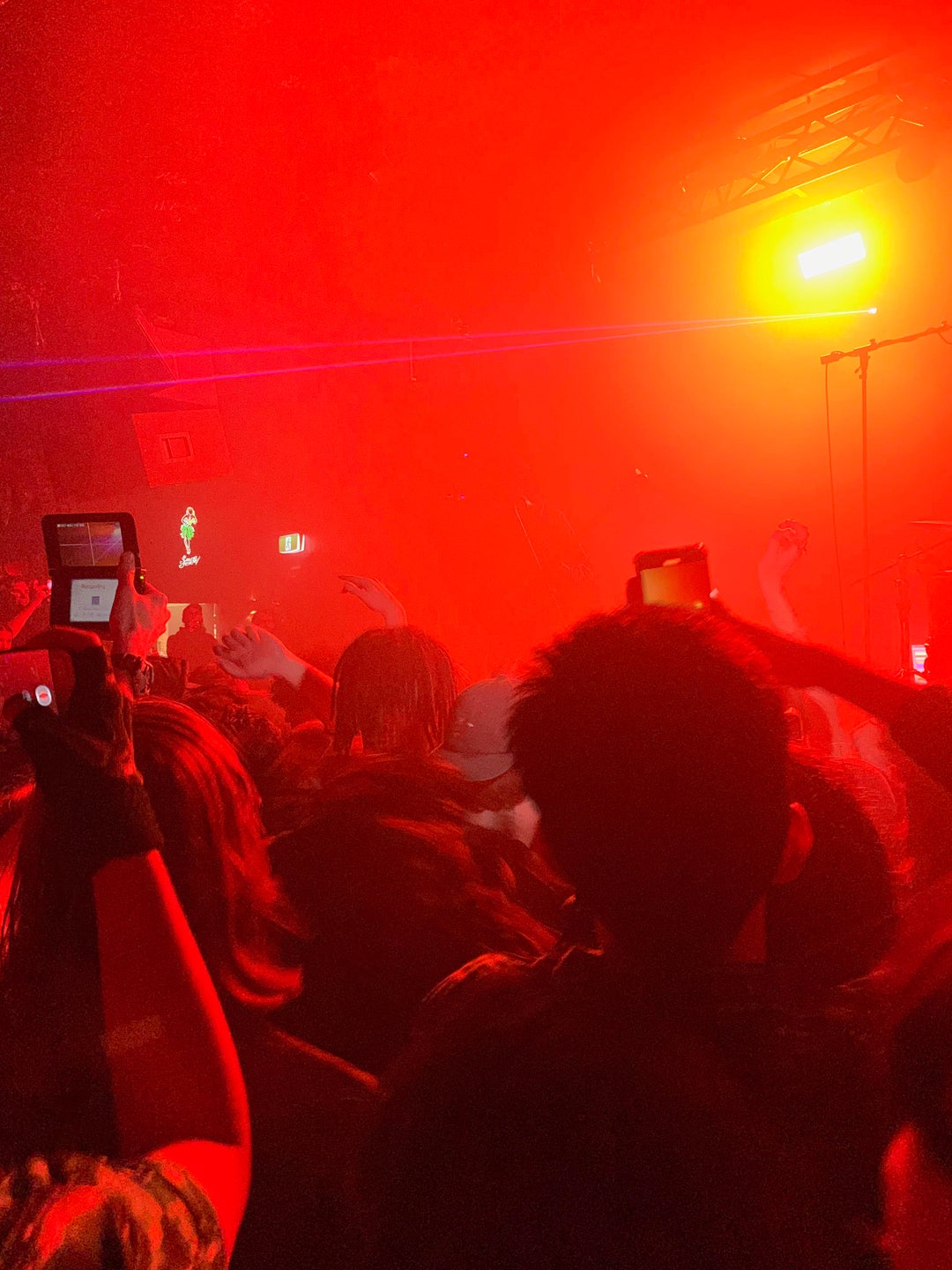 Went to a concert last night and someone was filming it on a Nintendo DS.