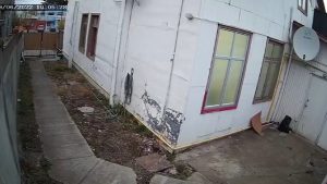 Man jumps out of a brothel's window to skip paying, two prostitutes chase after him!