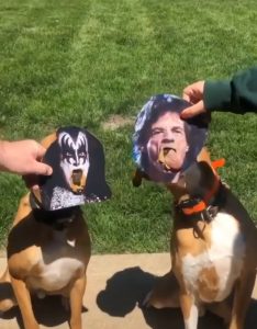 It's only rock-n-roll, all night, if you like it with peanut butter.