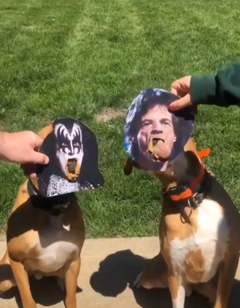 It's only rock-n-roll, all night, if you like it with peanut butter.