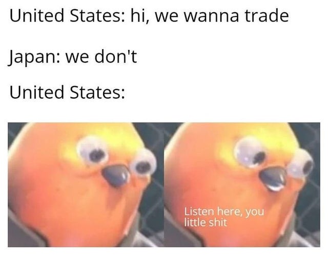 you better trade with us