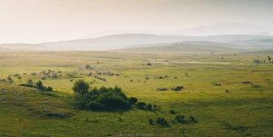 Wild horses of Bosnia. Always glad to be back to my hometown of Livno. Nothing is so soothing. [OC]