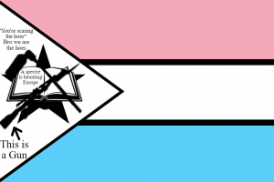 flag of Mozambique but it's 196