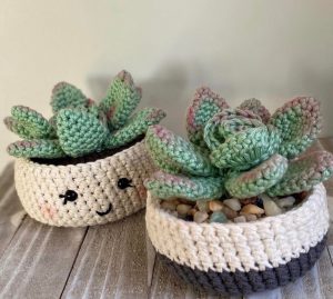 [OC] Your daily dose of fiber art. The only plant I can keep alive.