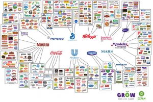 Only 10 companies control almost every large food and beverage brand in the world that can be found in your local supermarkets