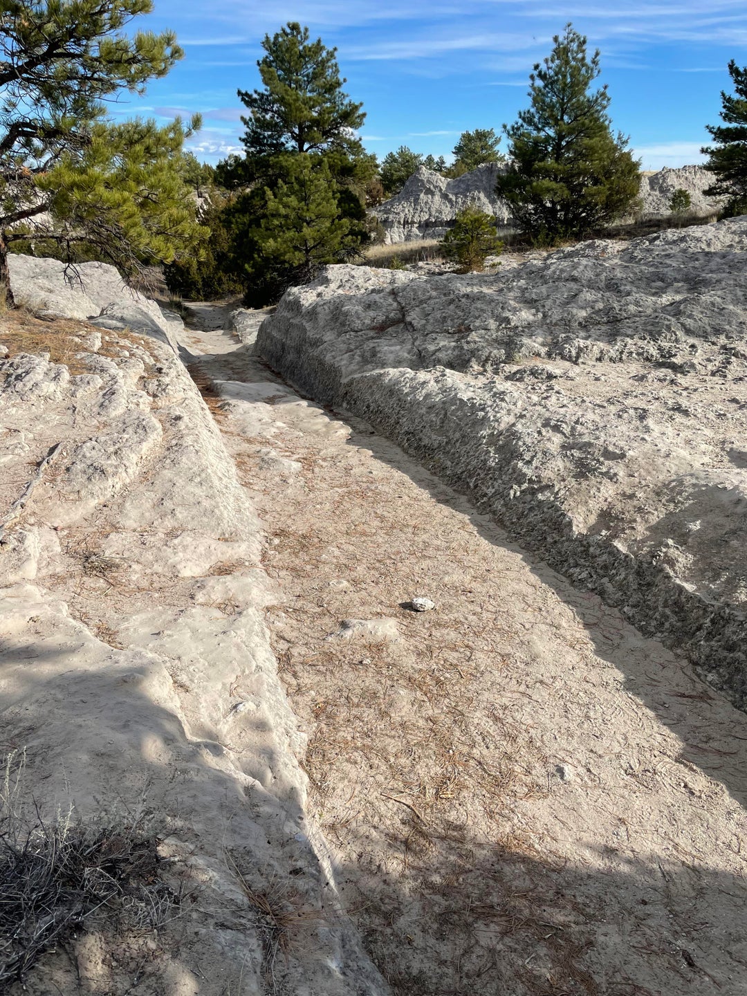 Oregon Trail wagon wheel ruts in Guernsey, Wyoming