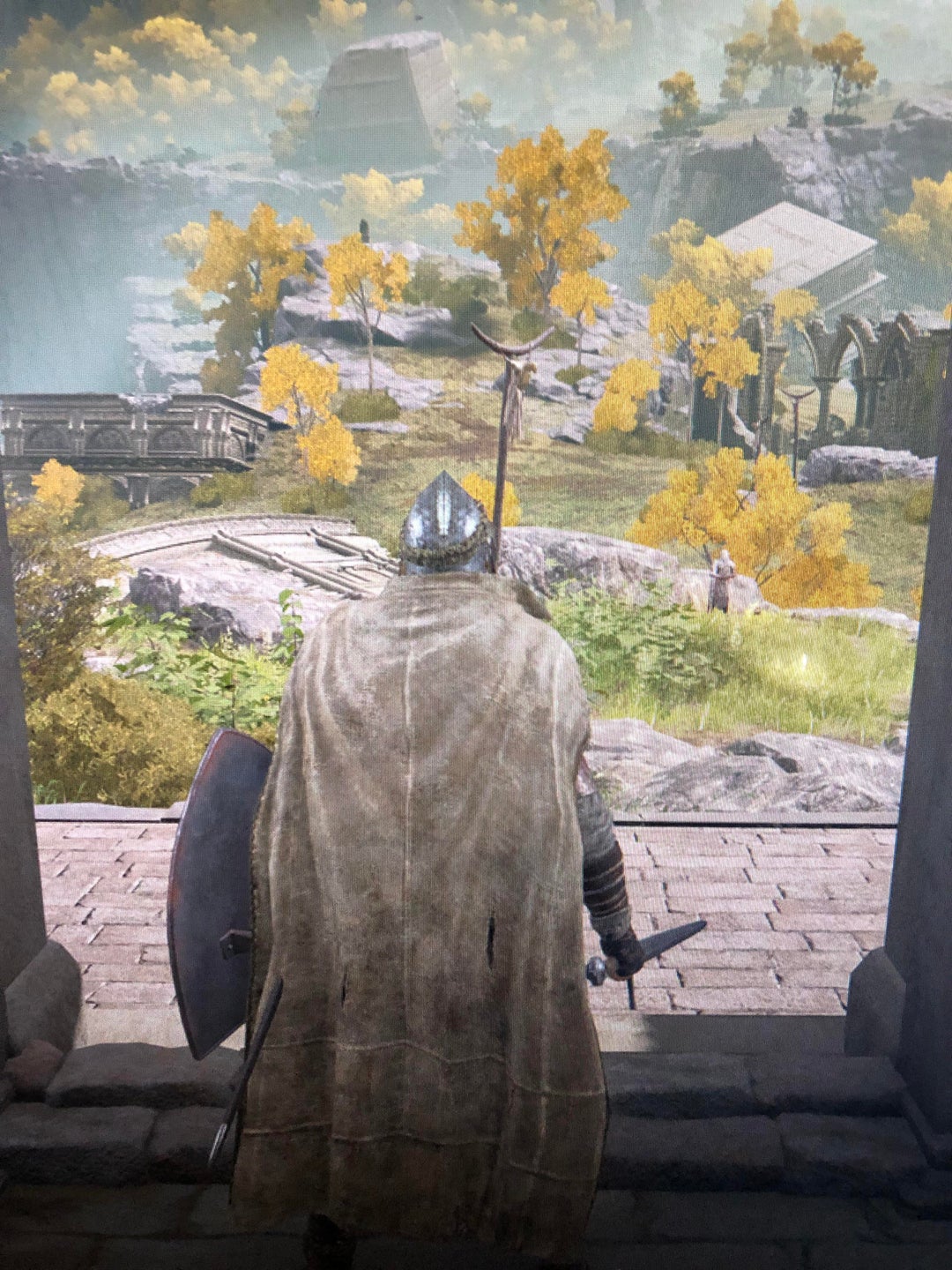 My first souls game