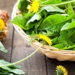 TIL that dandelions are edible and are actually really nutritious and can be eaten raw