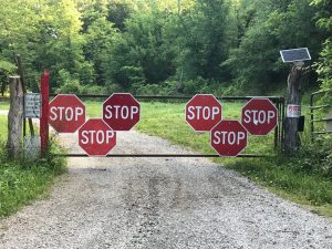 Do you think I should stop?