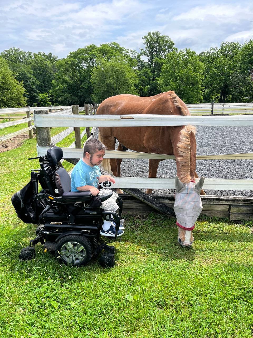 Here's another pic of my "adventures". I met a horser! (MIC)