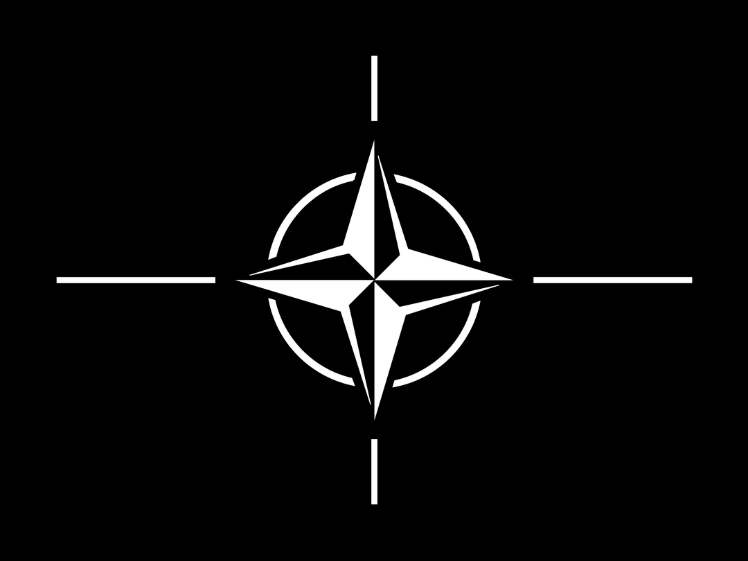 NATO's flag but I made it black