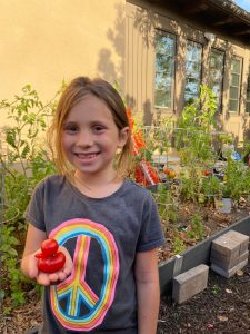 My niece grew this perfect duck tomato