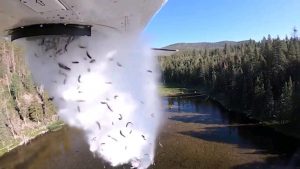 Utah DWR restocking fish in remote reservoirs across the state.