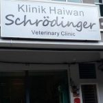 “I’ve got good news and bad news about Muffin.”