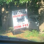 [OC] I live in Texas and this guy knows what’s up.