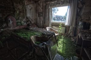 A hotel in Germany that was abandoned after a fire, and slowly reclaimed by nature