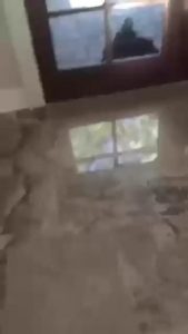 is this rabies? wtf is happening here?