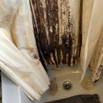 This shower curtain.