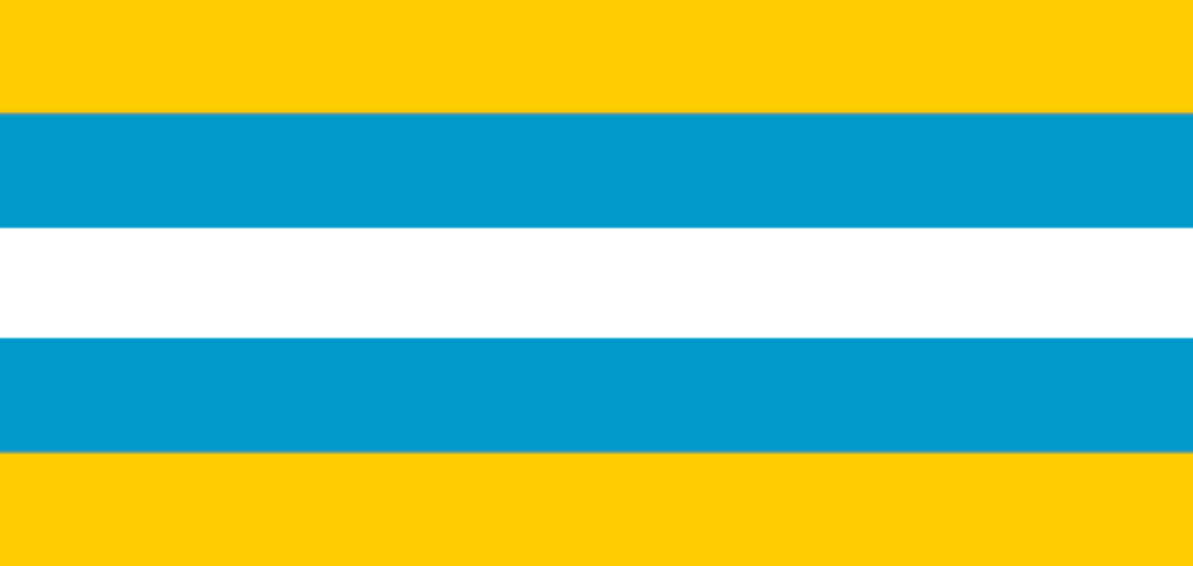 I Am A Large Fan Of The Flag Of The Wodzisławski County, Poland! What Do You Think?