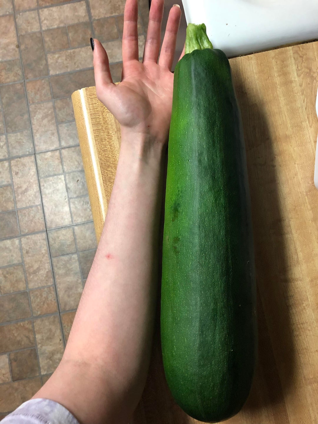 [OC] This zucchini we grew from our garden